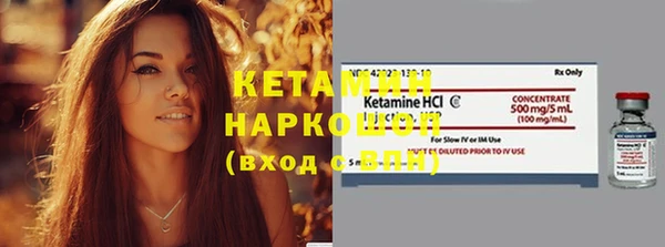 крисы Алексин