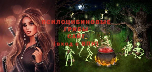 крисы Алексин